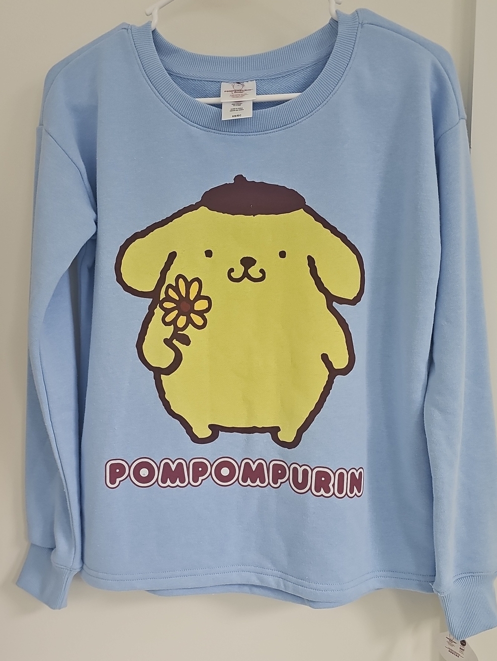Kids Pompompurin Light Blue Graphic Sweatshirt XS NWT